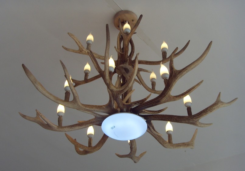 【梅花鹿角手串价格】价格、产品供应,梅花鹿角手串价格厂家批发-1024商务网