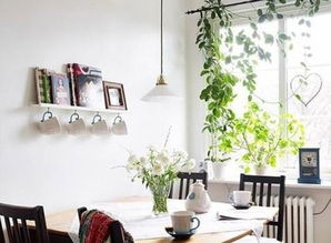 室内植物的几种装饰手法