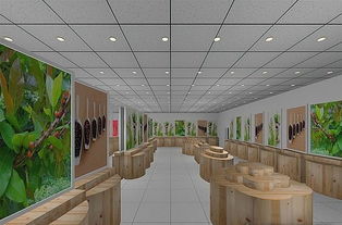 成都专业特产店装修 特产店设计 特产店翻新 装潢,成都专业特产店装修 特产店设计 特产店翻新 装潢生产厂家,成都专业特产店装修 特产店设计 特产店翻新 装潢价格