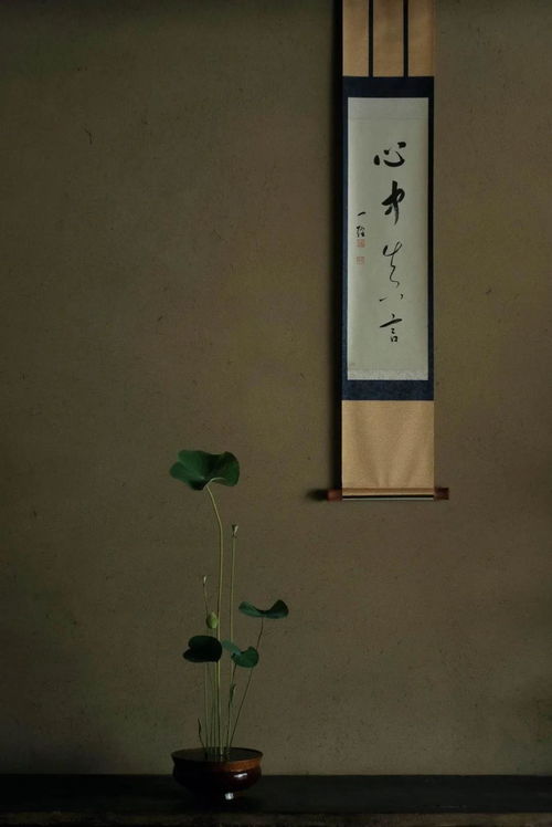 茶室装饰中花道插花给你带来不一样的茶空间境界